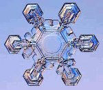 Avatar de l’utilisateur