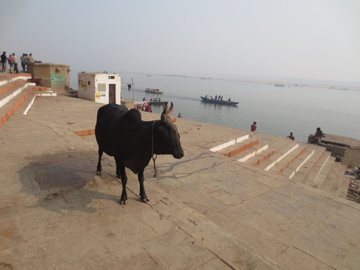 Kashi et un de ses habitants