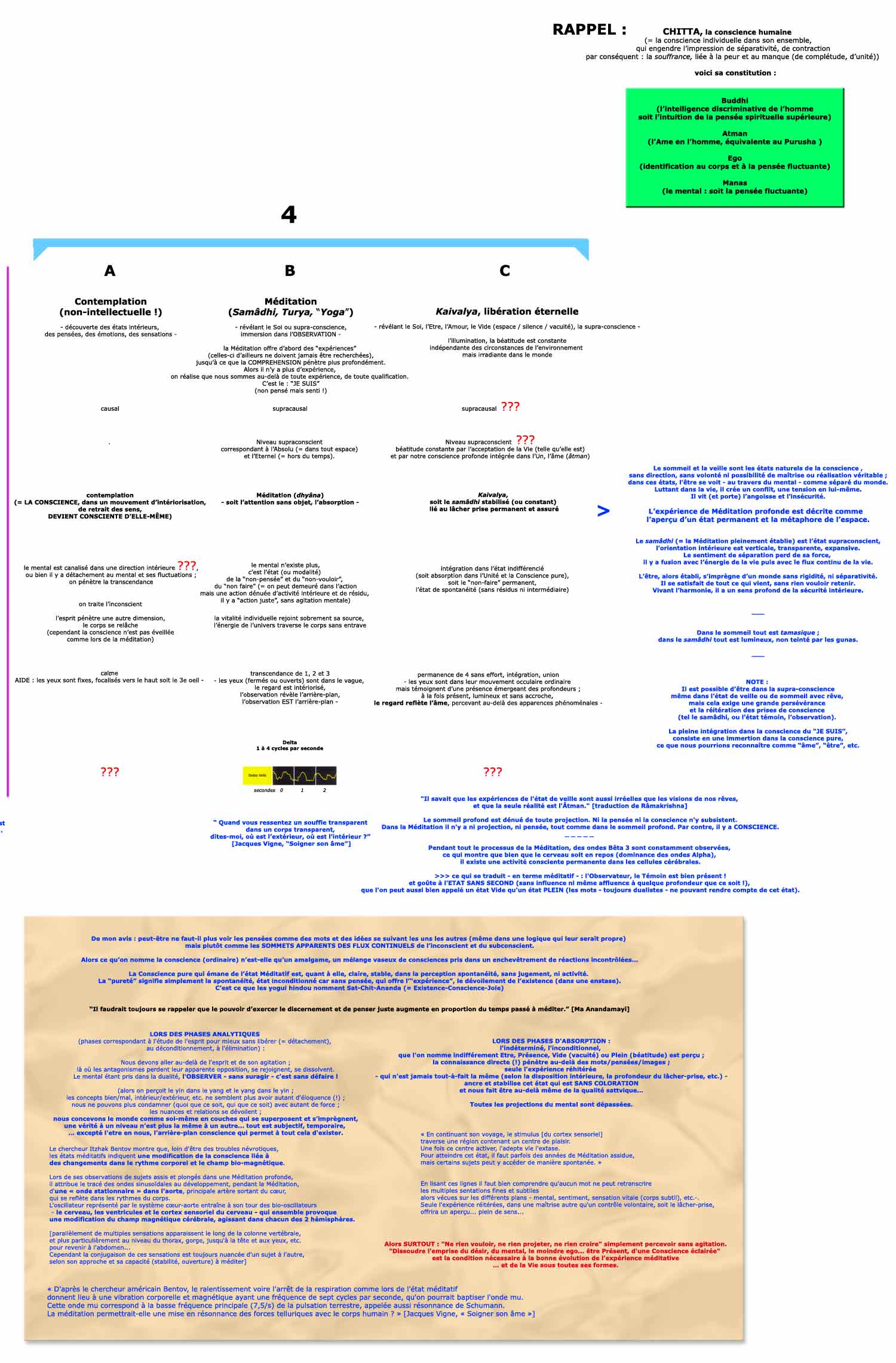 cerveaux et fréquences - droite