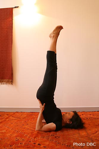 viparita karani mudra