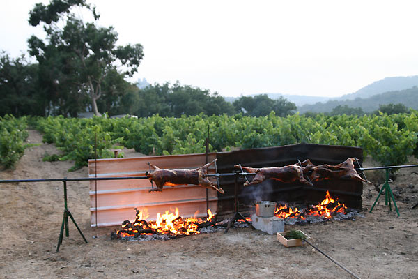Sacrifice, le sens de l'instant...